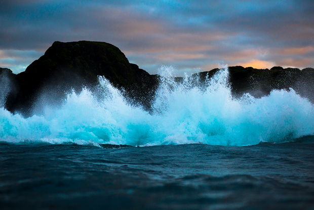 The Breach