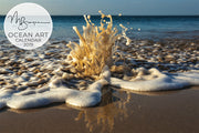 Matt Burgess Photo 2019 Ocean Art Calendar (SOLD OUT)