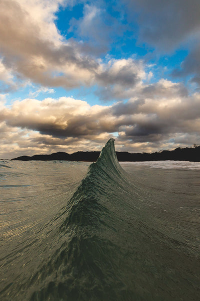 // Shark Fin // (colour)