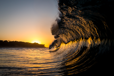 Dawn Curls