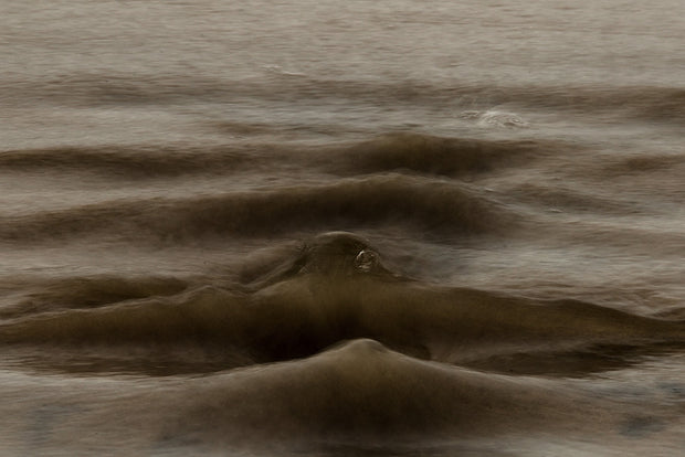 Sand Trap