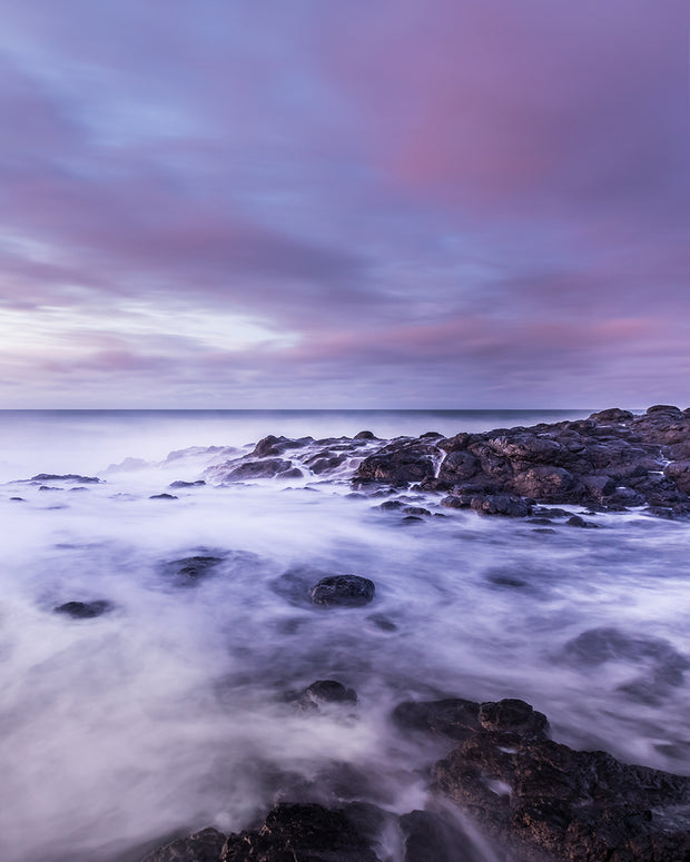 // Purple Haze //