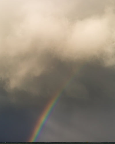 // Rainbows in the Bay //
